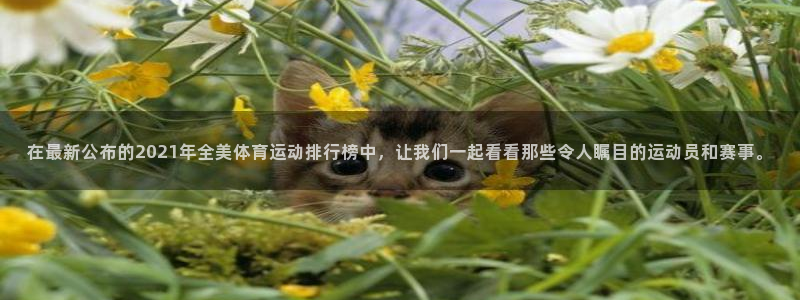 海南尊龙官网下载发展怎么样:在最新公布的2021年全美体育运